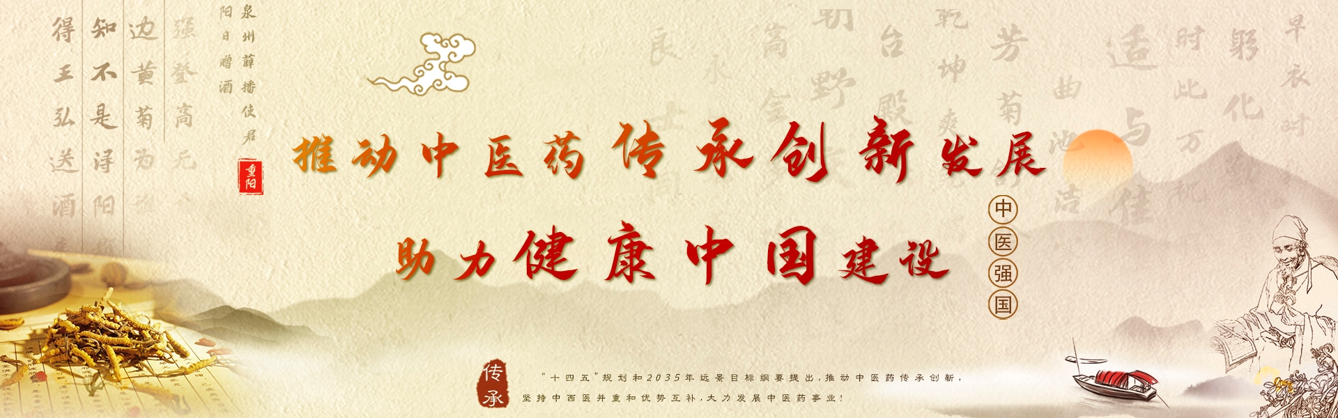推动中医药传承创新发展 助力健康中国建设
