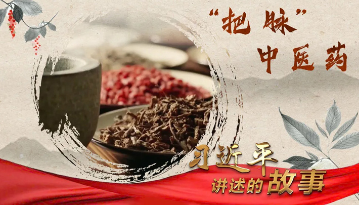 习近平讲述的故事｜“把脉”中医药