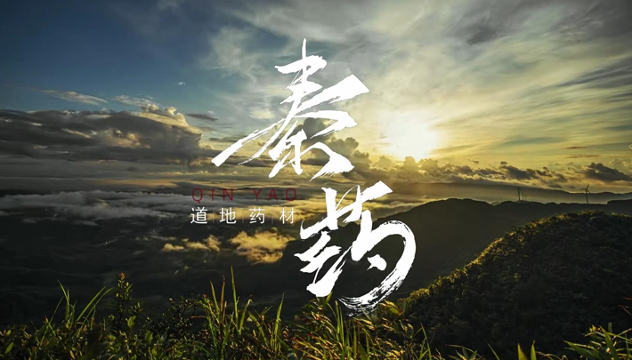 全方位展现陕西中医药资源优势的六十四集系列公益专题片《秦药》