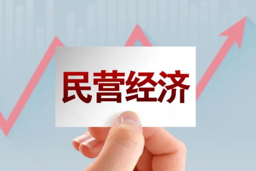 张宝通：民营经济是第四次工业革命的生力军
