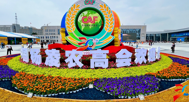 杨凌农高会：奏响世界农业交流合作最强音