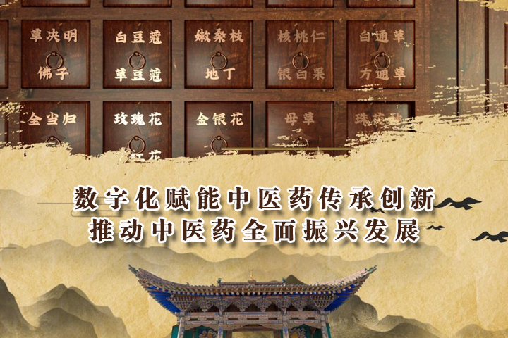数字化赋能中医药传承创新，推动中医药全面振兴发展 