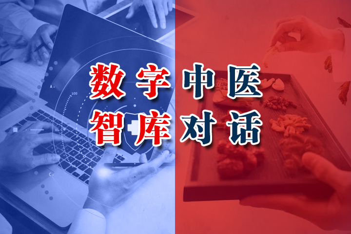 数字中医智库对话丨“一带一路”中医药高质量发展研究课题座谈会