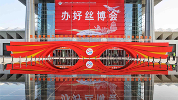 边走边看丝博会：展区变化大，国际范更足