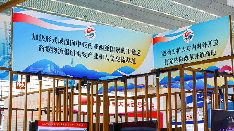 陕西将更加深度融入共建“一带一路”大格局