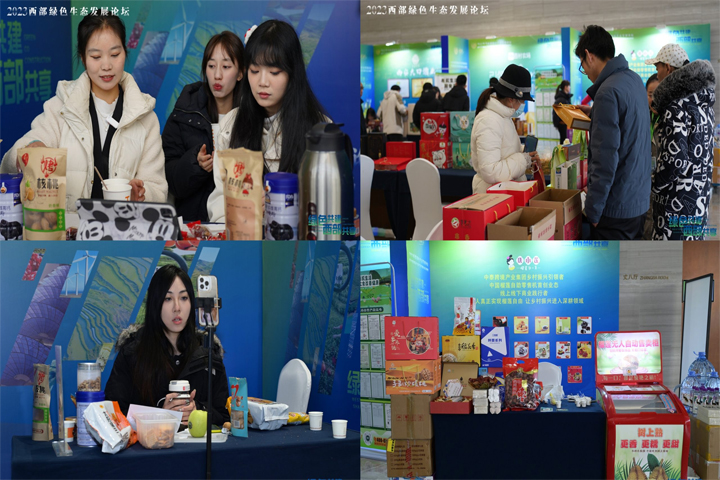 丝路国际生态产品直播电商品牌展