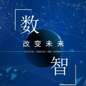 数智平台经济学涉及的七大战略战术问题