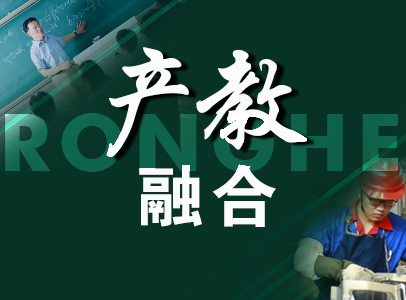 产教融合、指标差异、平台效应