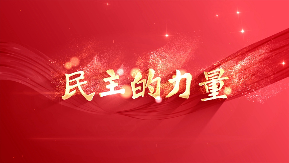 民主的力量