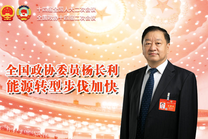 全国政协委员杨长利：能源转型步伐加快