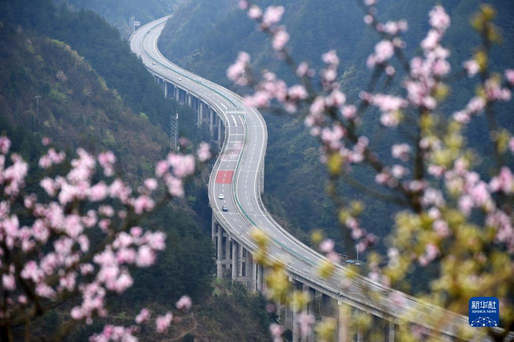 贵州思南至剑河高速公路剑河县岑松镇段桥梁春色