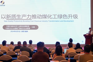 汪爽：《以新质生产力推动煤化工产业升级》