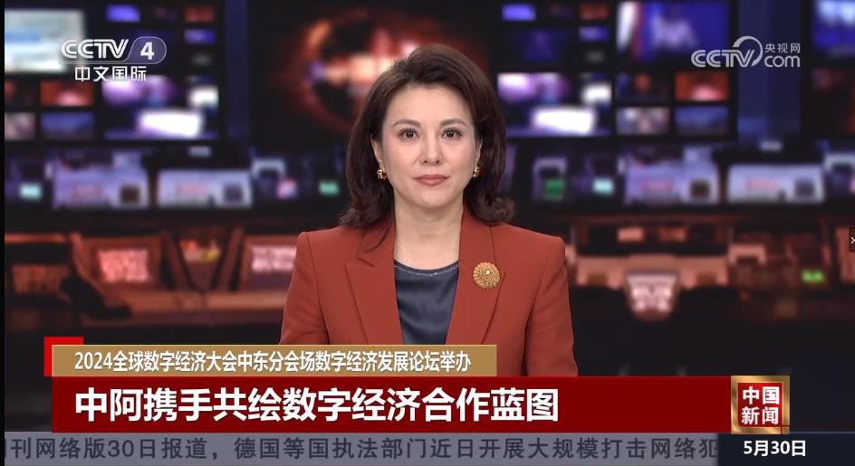 2024全球数字经济大会中东分会场数字经济发展论坛举办