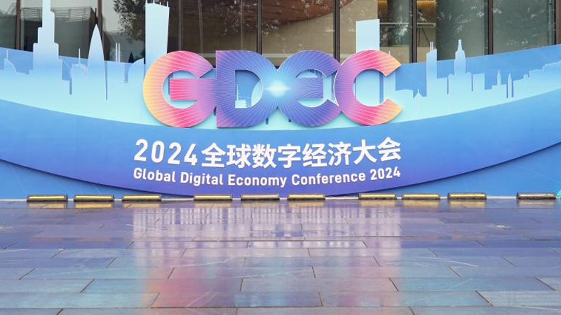 2024全球数字经济大会标识