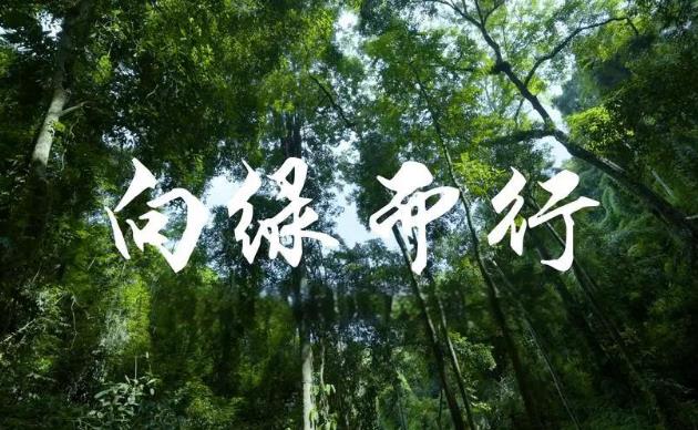 深挖绿色潜能 环保装备助力工业向“绿”而行
