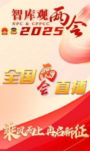 智库观中国