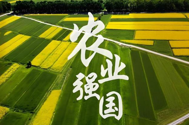 田惠敏  徐蕴峰：探寻县域在农业强国建设中的发展路径