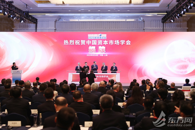 中国资本市场学会揭牌