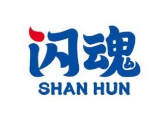 「闪魂」完成数亿元人民币首轮融资，高瓴创投领投