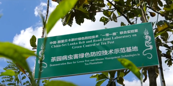 开放进行时 | 代表委员热议深化国际农业合作 加快建设农业强国