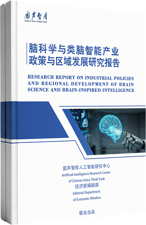 脑科学与类脑智能产业政策与区域发展研究报告