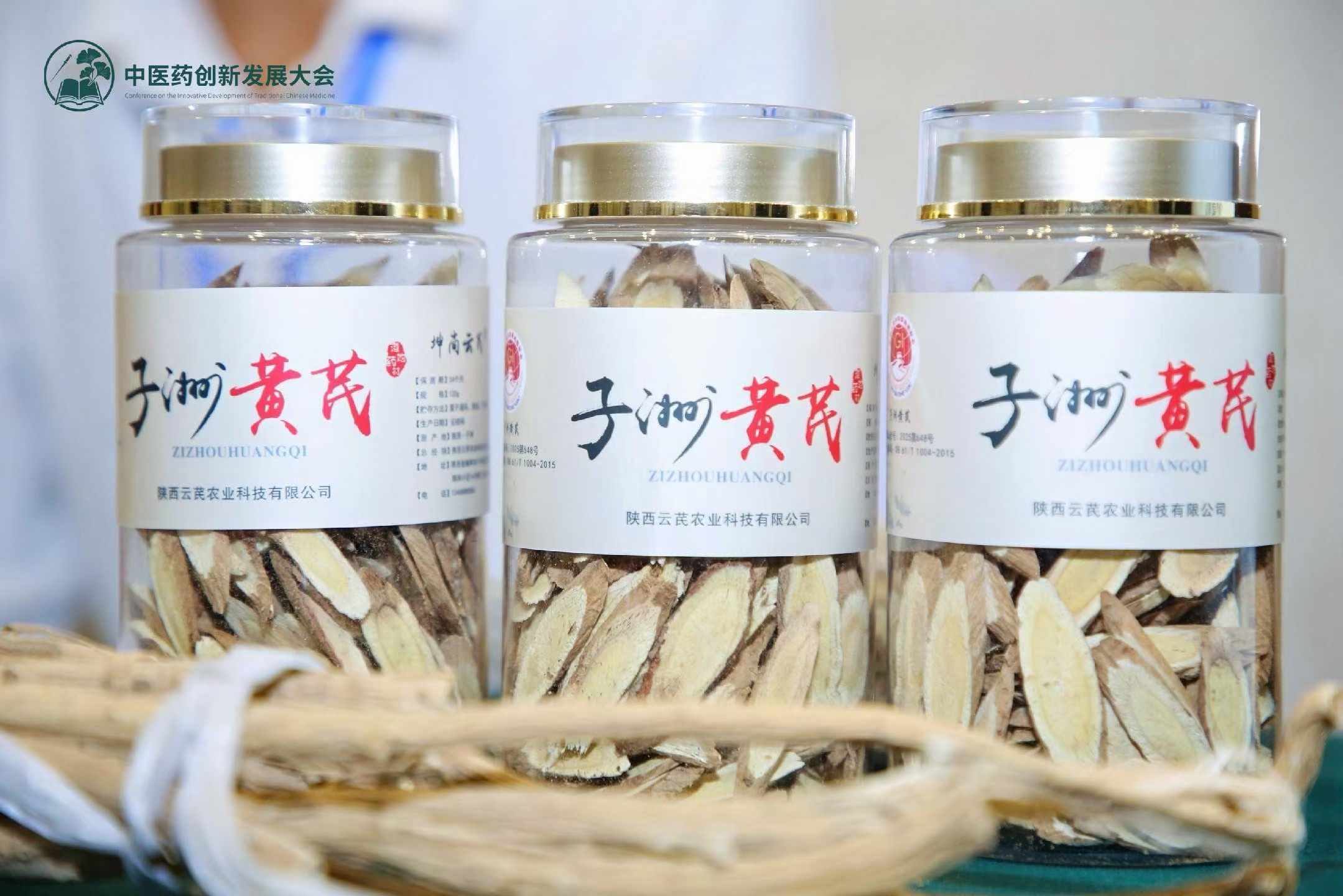 子洲黄芪 子洲黄芪