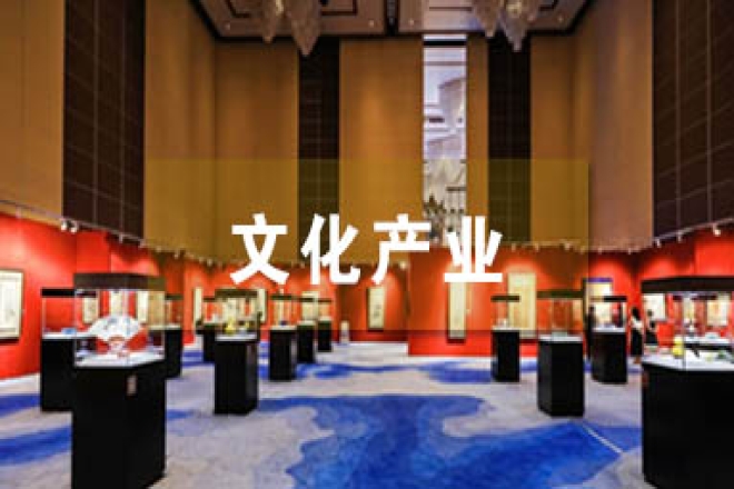 两会文化声音丨代表委员共话文化产业发展