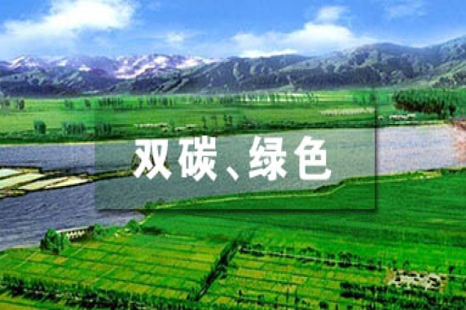 先立后破通盘谋划“双碳”施工图