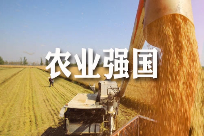 以科技和改革双轮驱动农业强国建设