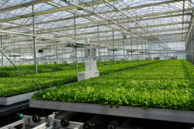 AI耕新田！江苏何以破题“人工智能+农业”新答卷？