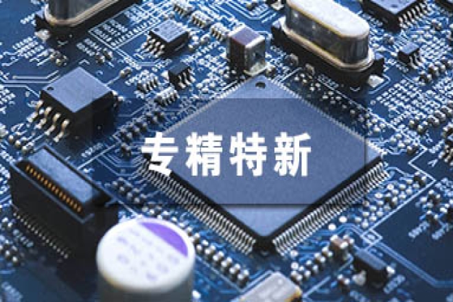 政协委员支招“小巨人”：如何走好“专精特新”之路