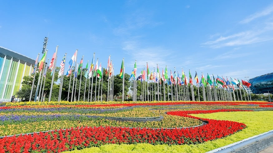 第五届中国国际进口博览会圆满落幕