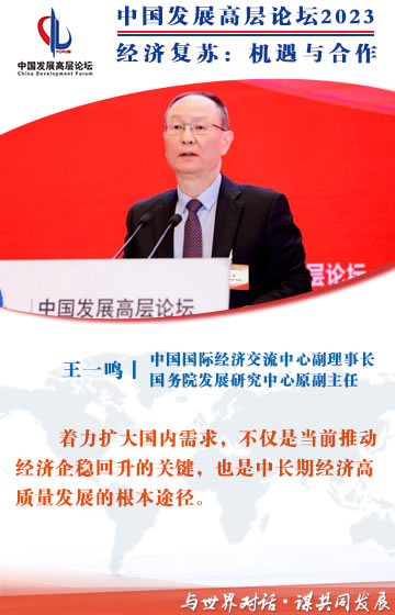 中国发展高层论坛2023丨激活潜在的内需需求